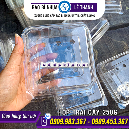 HỘP ĐỰNG TRÁI CÂY 250G