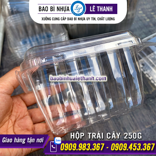 HỘP ĐỰNG TRÁI CÂY 250G