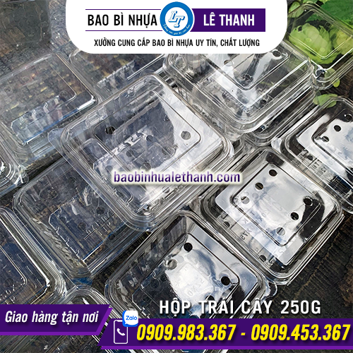 HỘP ĐỰNG TRÁI CÂY 250G