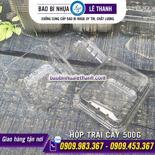 HỘP ĐỰNG TRÁI CÂY 500G