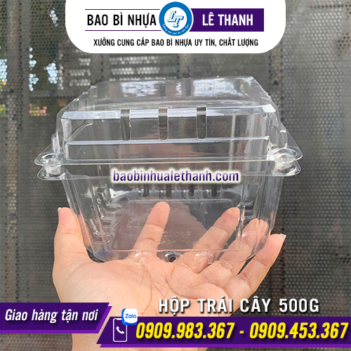 HỘP ĐỰNG TRÁI CÂY 500G