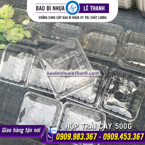 HỘP ĐỰNG TRÁI CÂY 500G