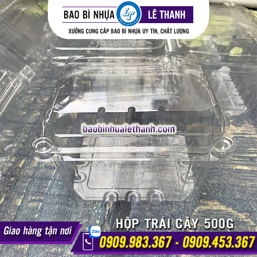 HỘP ĐỰNG TRÁI CÂY 500G