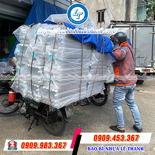 Vỉ nhựa đựng trứng 10 quả giao nhanh Vỉ nhựa đựng trứng 10 quả giao nhanh