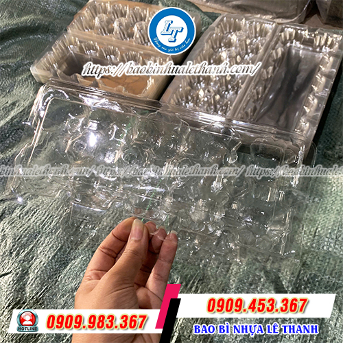 Vỉ nhựa đựng trứng 10 quả gọn nhẹ Vỉ nhựa đựng trứng 10 quả gọn nhẹ