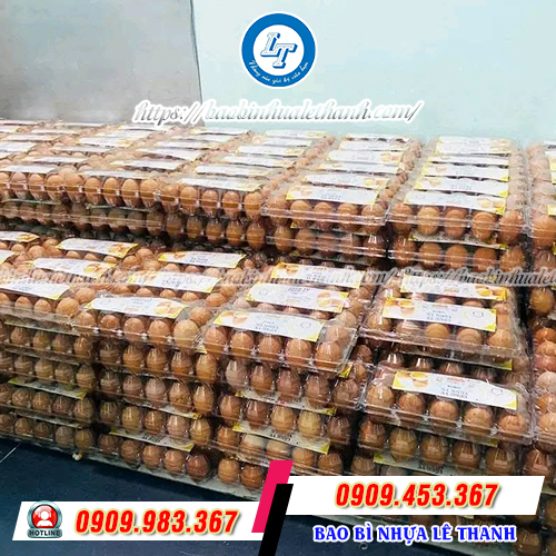 Vỉ trứng bấm kim 10 quả Vỉ trứng bấm kim 10 quả