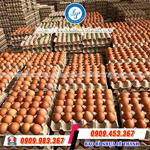 Vỉ trứng giấy 30 quả Vỉ trứng giấy 30 quả