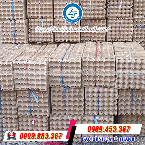 Vỉ trứng giấy sẵn kho Vỉ trứng giấy sẵn kho