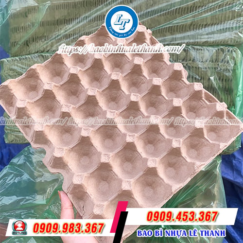 Vỉ trứng giấy Vỉ trứng giấy