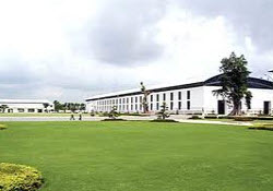 Nhà xưởng dư thừa diện tích Nhà xưởng dư thừa diện tích