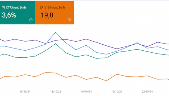 SEO WEBSITE CASE STUDY: Anh Duong Detailing