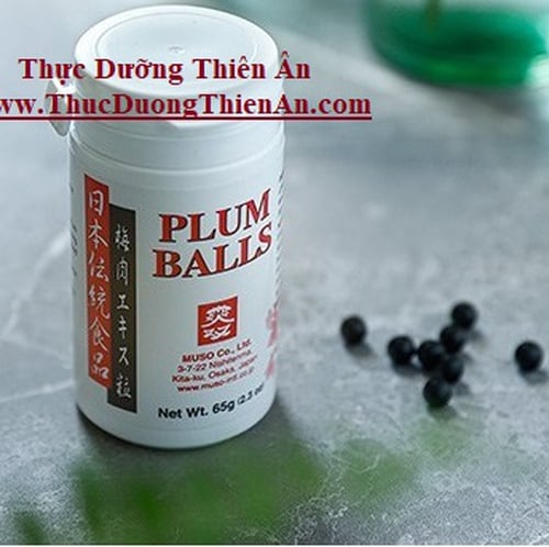 CAO MƠ HOÀI SƠN : HỖ TRỢ DẠ DÀY VÀ TIÊU HÓA