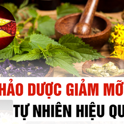 CÔNG THỨC HẠ MỠ MÁU TỪ THIÊN NHIÊN CHOLESOL