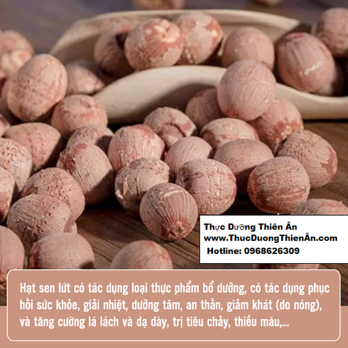 HẠT SEN LỨT (500G): DƯỠNG TÂM , AN THẦN , BỔ TỲ VỊ