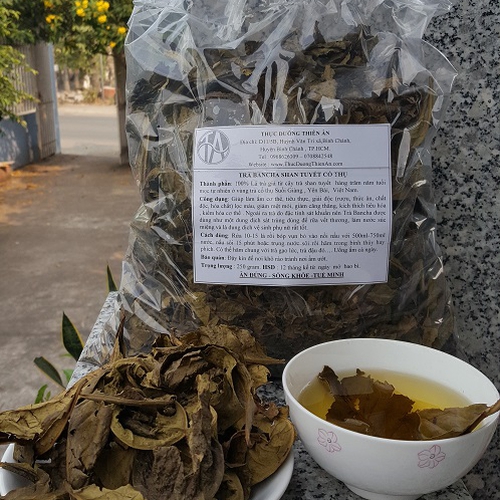 TRÀ  BANCHA CỔ THỤ