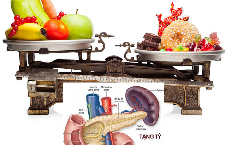 BÀI 3 : CÂN BẰNG DINH DƯỠNG & TỲ VỊ :  GỐC RỄ CỦA KHÍ HUYẾT VÀ BỆNH TẬT