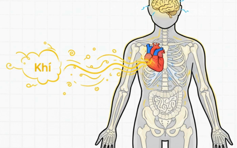 Bài 1 : Giải Mã KHÍ HUYẾT - Gốc rễ của bách bệnh và bí quyết sống thọ.