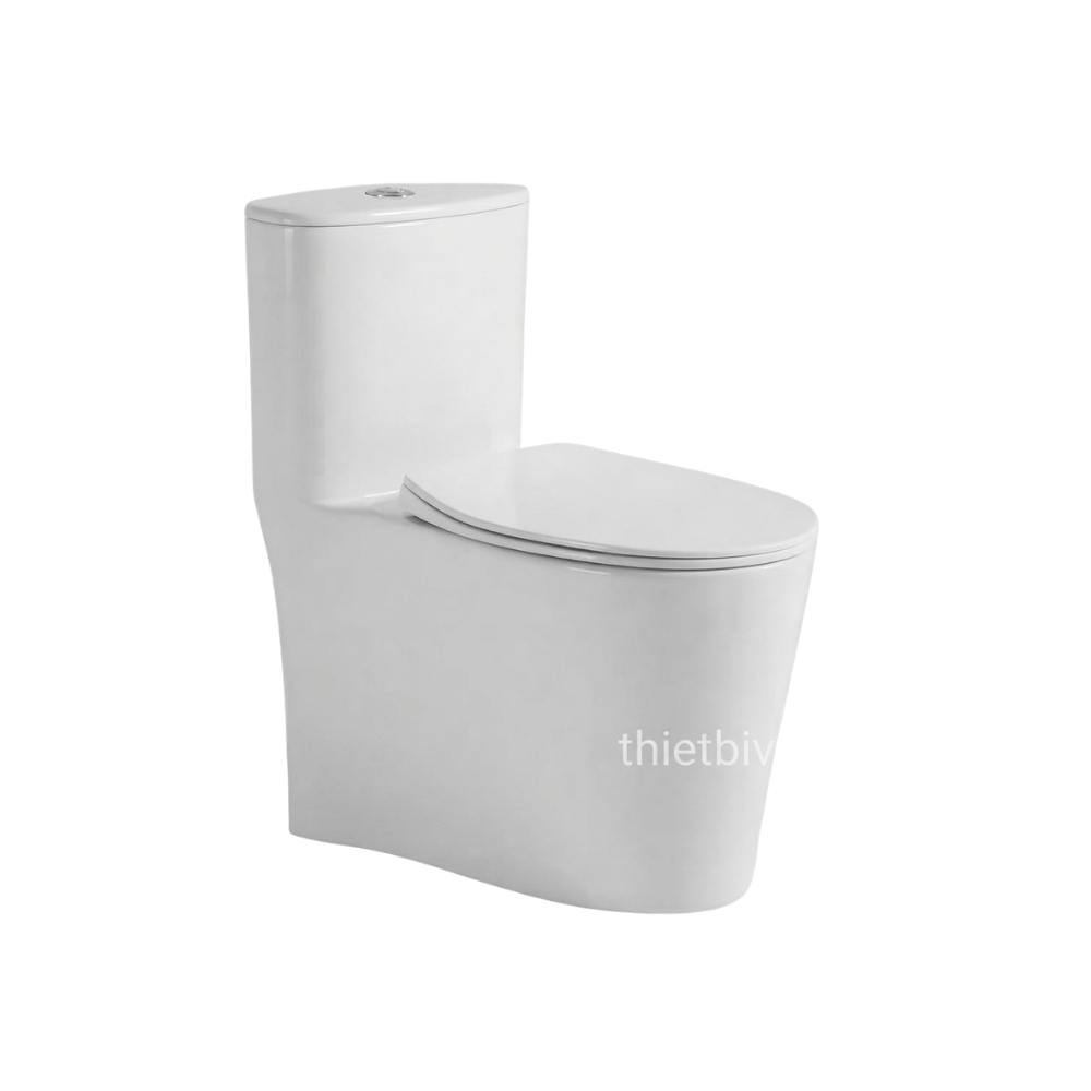Bồn cầu Hwata HT 104