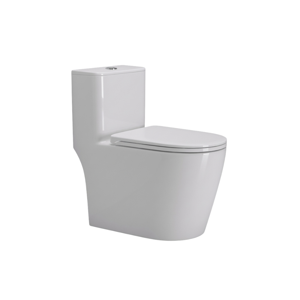 Bồn cầu Hwata HT 156
