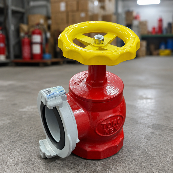 Van Góc Chữa Cháy DN50/D50 Tomoken
