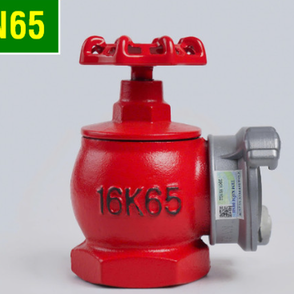 Van Gốc Ty Thau Chữa Cháy DN65 YJ Có Kiểm Định Yongjin