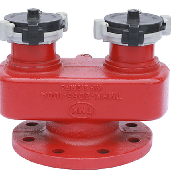 Họng Tiếp Nước 2 Cửa TMHK-2D65-100A Tomoken
