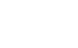 Theme electronics