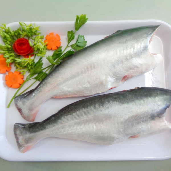 Pangasius HGT