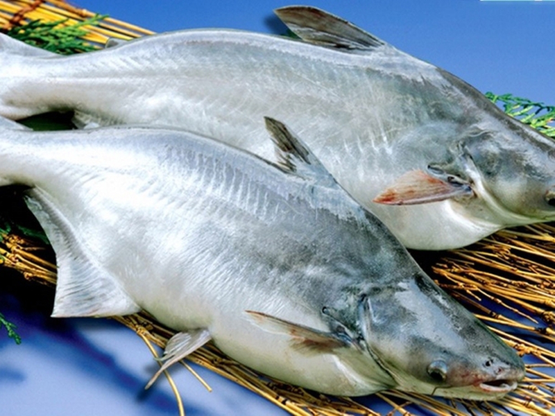 What is basa fish? Nutritional composition and things you need to know.