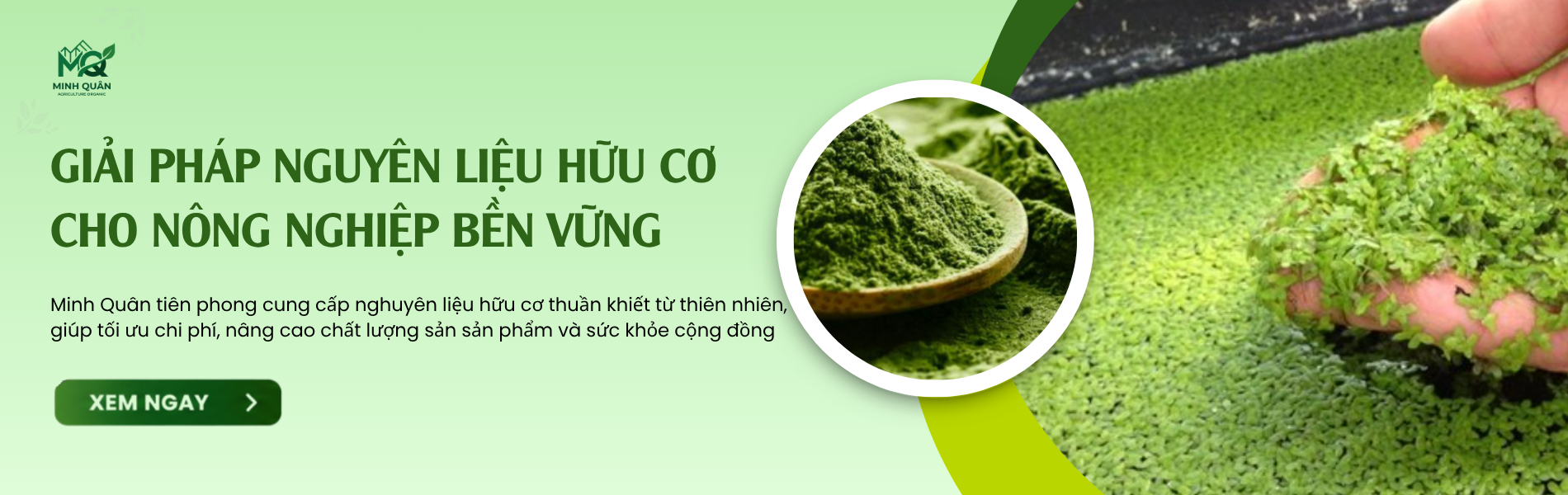 GIẢI PHÁP DOANH NGHIỆP