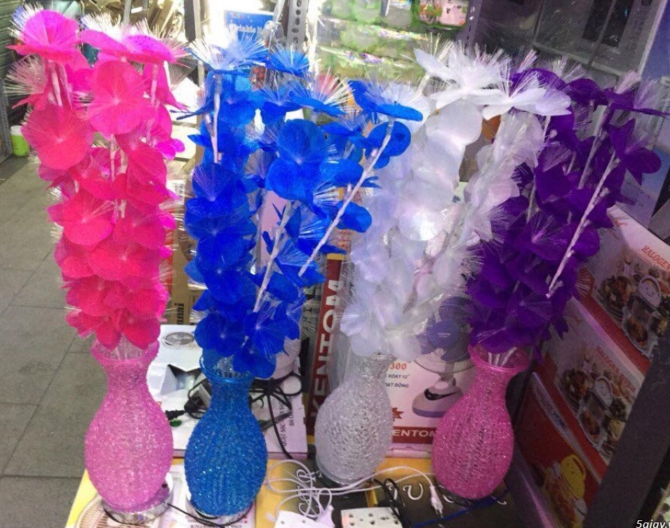 Bình hoa đèn led Bình hoa đèn led