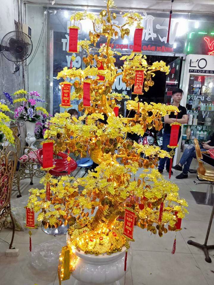 Cây hoa mai pha lê Cây hoa mai pha lê