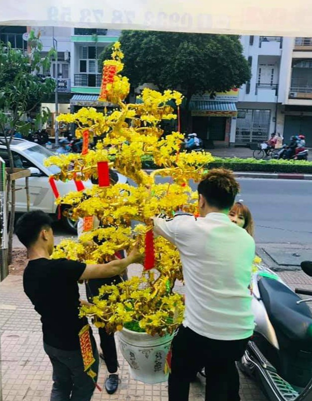 Cây hoa mai pha lê Cây hoa mai pha lê