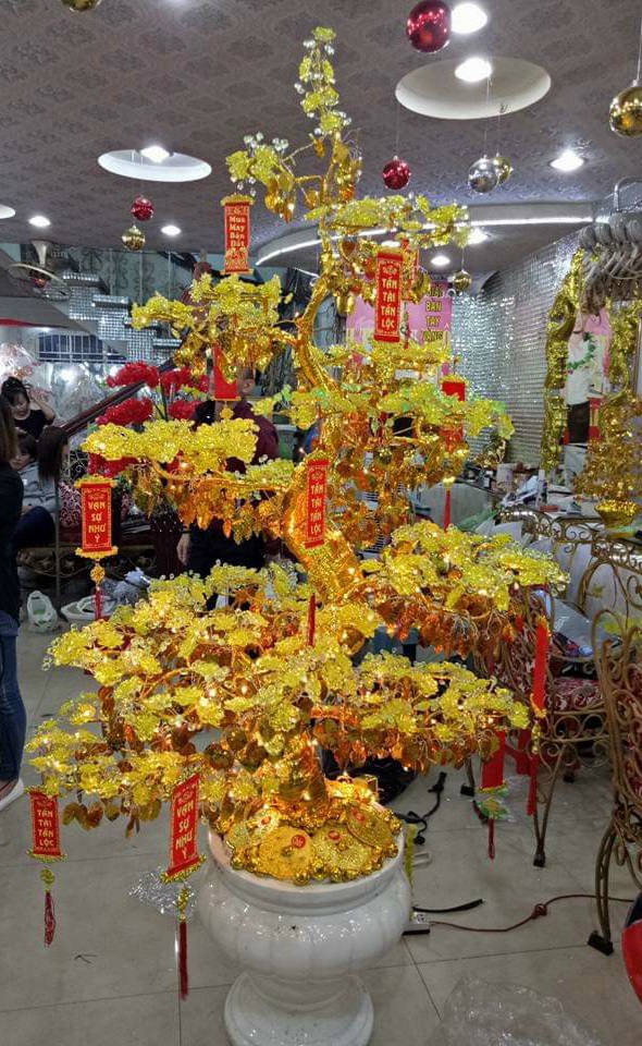 Cây hoa mai pha lê Cây hoa mai pha lê