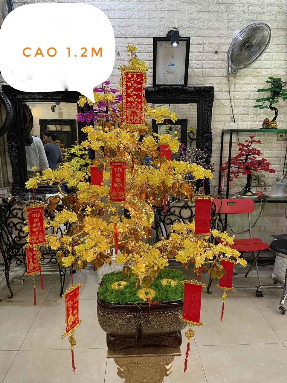 Cây hoa mai pha lê Cây hoa mai pha lê