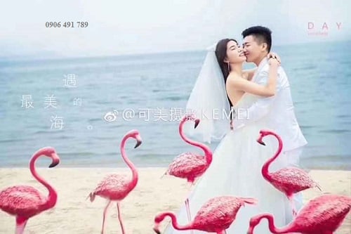 Hồng hạc trang trí Hồng hạc trang trí