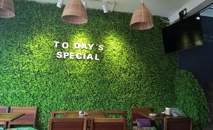 Cỏ tai chuột Cỏ tai chuột