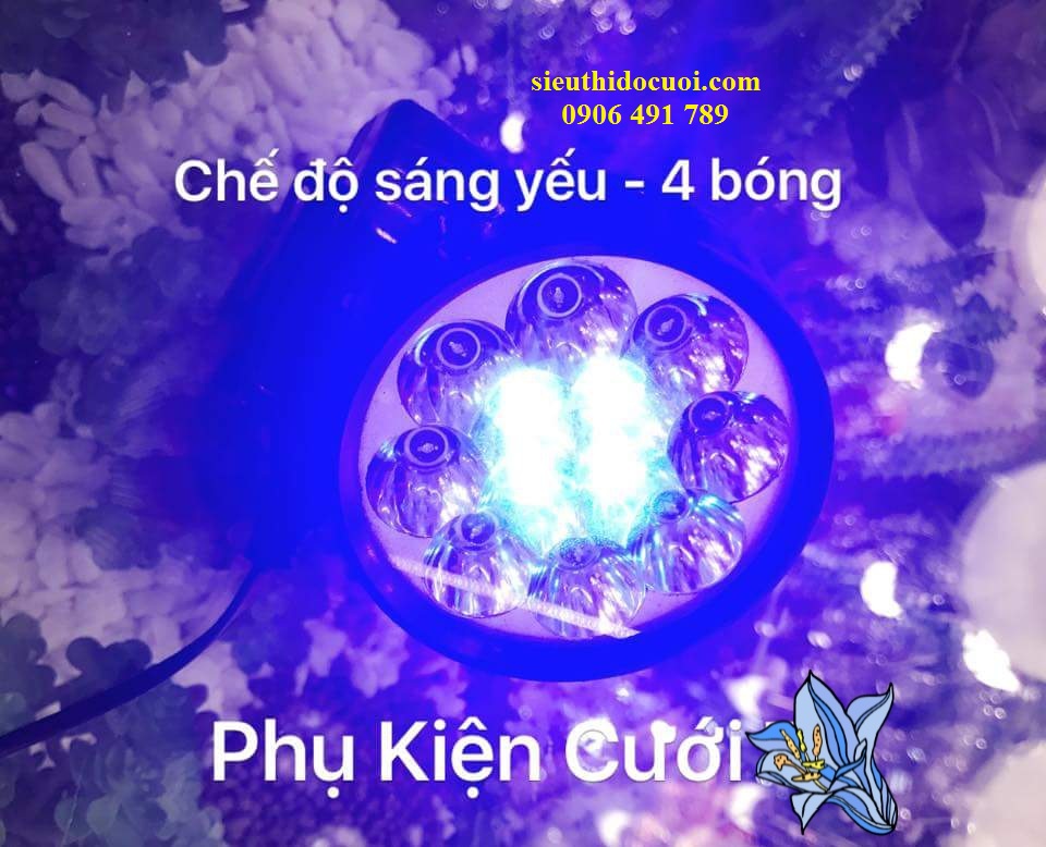 đèn led nhuộm màu vật dụng trang trí đèn led nhuộm màu vật dụng trang trí