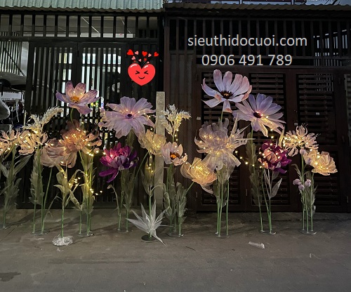 Hoa vải voan Hoa vải voan