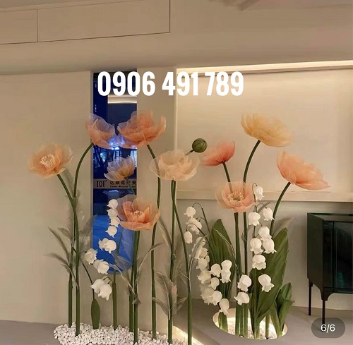 Hoa vải voan Hoa vải voan