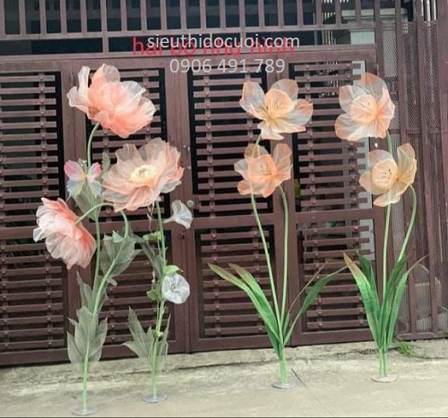 Hoa vải voan Hoa vải voan