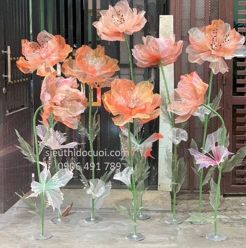 Hoa vải voan Hoa vải voan