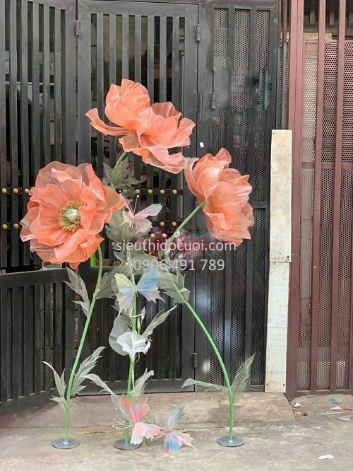 Hoa vải voan Hoa vải voan