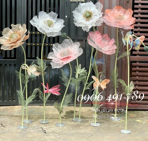 Hoa vải voan Hoa vải voan