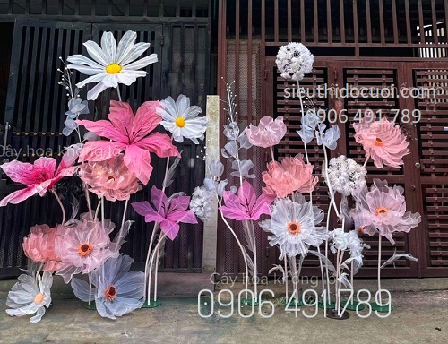 Hoa vải voan Hoa vải voan