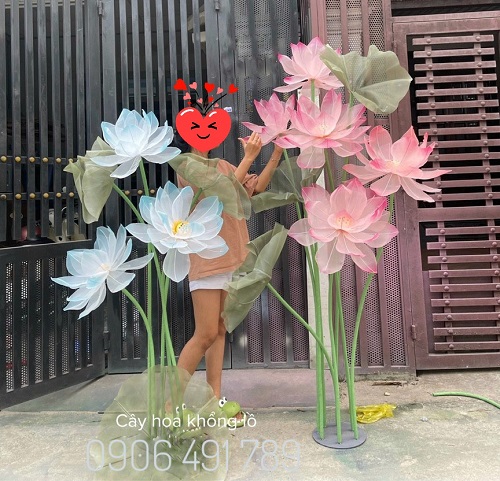 Hoa vải voan Hoa vải voan