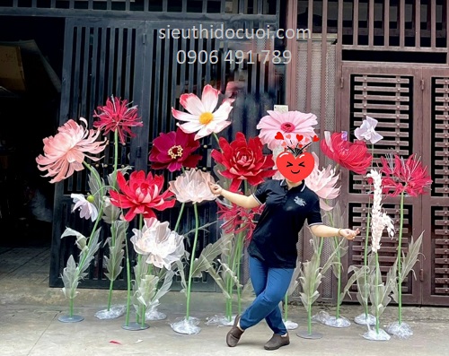 Hoa vải voan Hoa vải voan