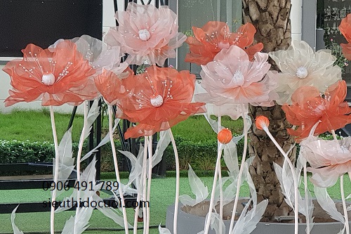 Hoa voan khổng lồ, hoa voan bông lớn Hoa voan khổng lồ, hoa voan bông lớn