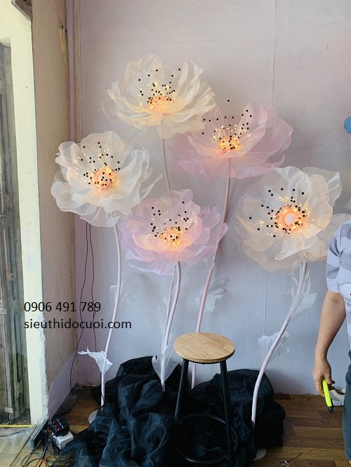 Hoa voan nghệ thuật Hoa voan nghệ thuật