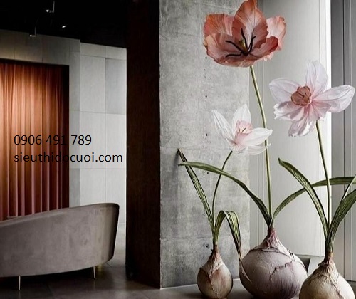 Hoa voan nghệ thuật Hoa voan nghệ thuật